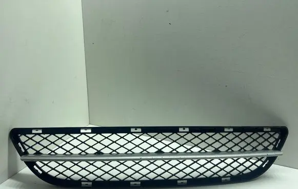 Front bumper lower grill