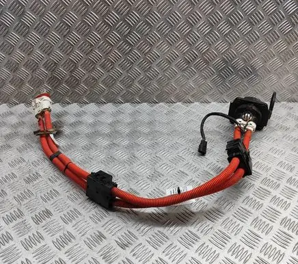 Nissan Leaf II (ZE1) Other wiring loom 296B15SK1A