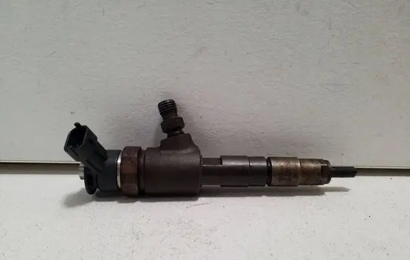 Peugeot Expert Fuel injector 0445110566 027766