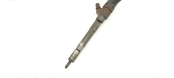 KIA Carens II Fuel injector 0445110258 3380027400