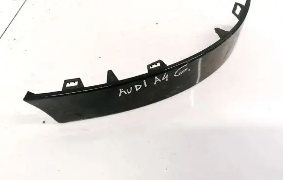 Rear/tail light trim molding