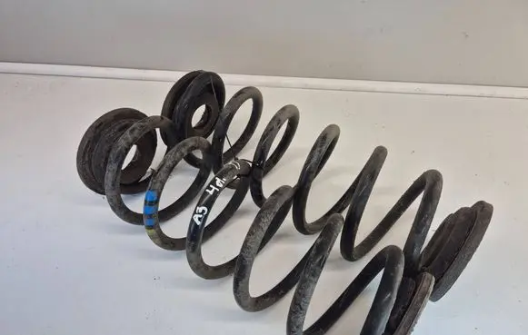 Rear coil spring