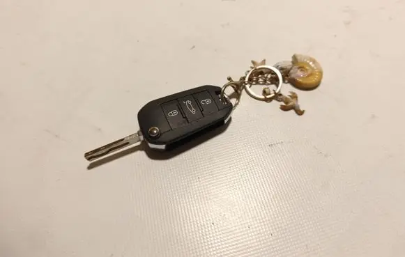 Opel Grandland X Ignition key/card 9817859680