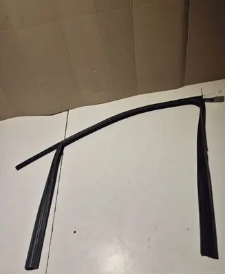 Dacia Spring Front door rubber seal E0030