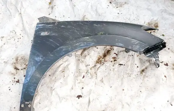 Hyundai Santa Fe Fender Pilka