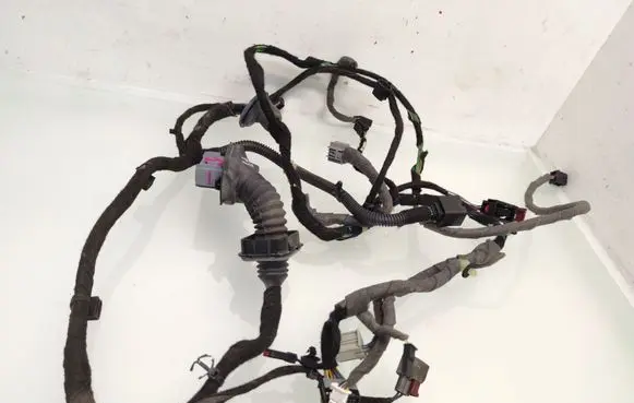 Opel Insignia A Front door wiring loom 22866757
