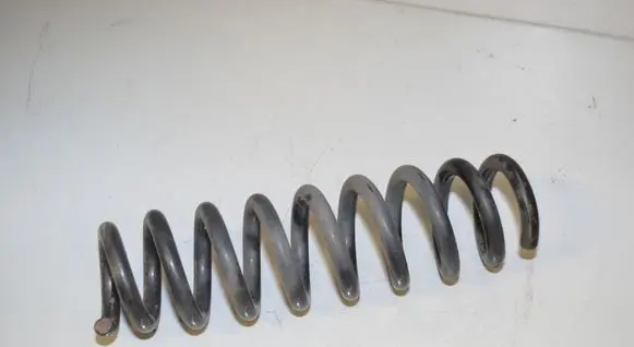 Rear coil spring