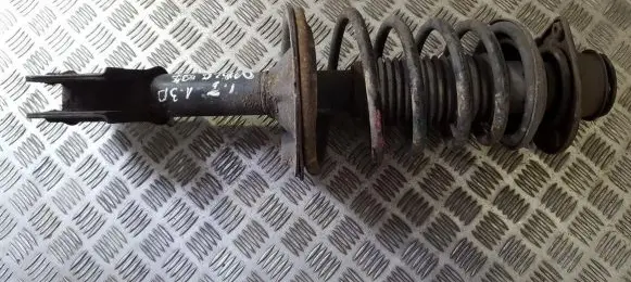 Fiat Doblo Front shock absorber/damper