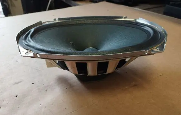 Rear door speaker
