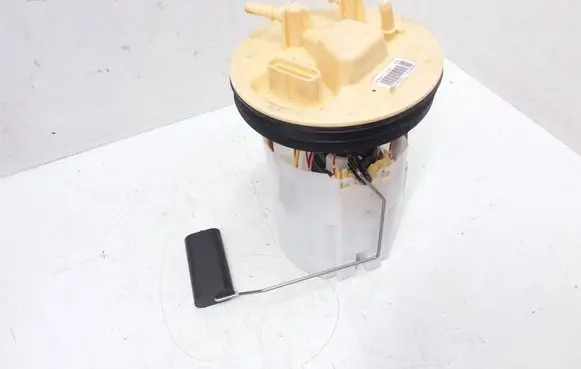 Ford Grand C-MAX In-tank fuel pump F1D19H307AB