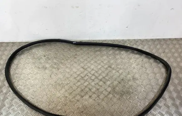 Dodge Durango Rear door rubber seal (on body) 