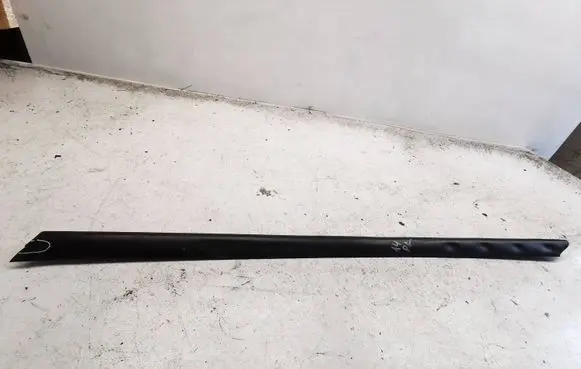 Front door trim (molding)