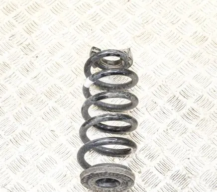 Volkswagen ID.3 Rear coil spring 1EA511103C