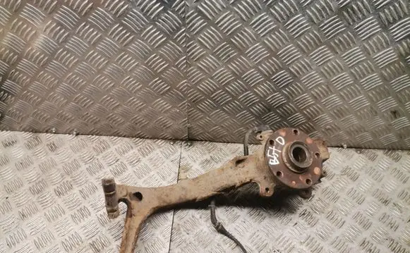 Volkswagen PASSAT B5.5 Front wheel hub spindle knuckle