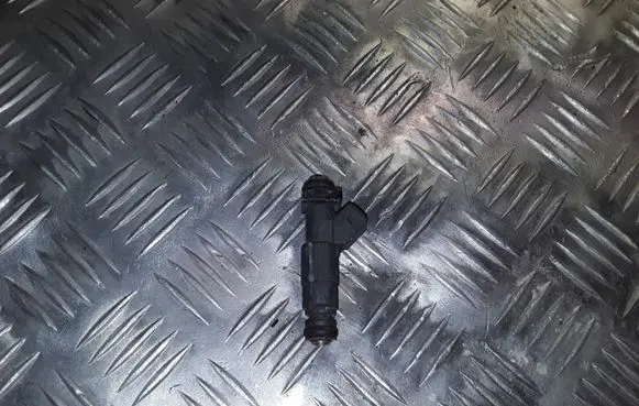 Land Rover Range Rover L322 Fuel injector 1707843 0280155823