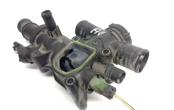 Thermostat/thermostat housing