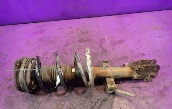 Renault Clio III Front shock absorber with coil spring 