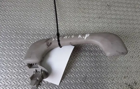 Renault Scenic II - Grand scenic II Front interior roof grab handle