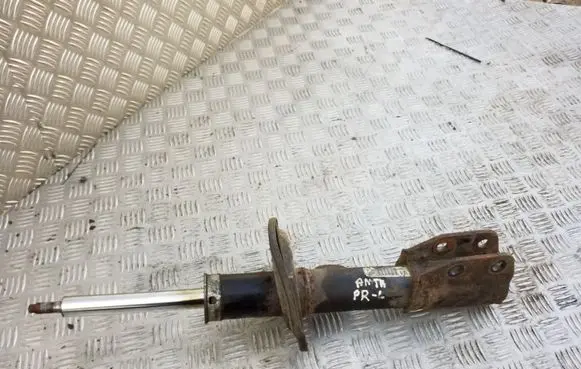Opel Antara Front shock absorber/damper
