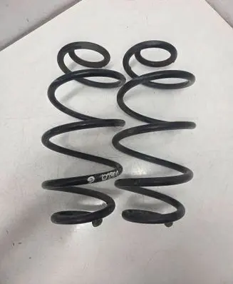 Fiat Doblo Rear coil spring 