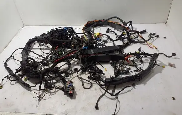 Other wiring loom