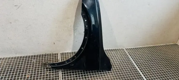 Audi Q3 8U Fender