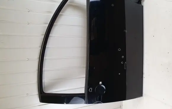 Volkswagen New Beetle Front door