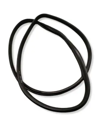 BMW X5 E70 Front door rubber seal 