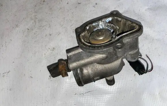 Thermostat/thermostat housing