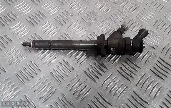 Citroen C5 Fuel injector 0445110297