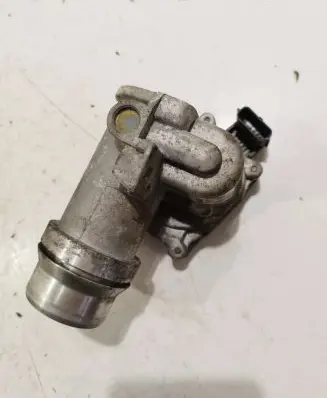 Renault Megane III Throttle valve 8200614985