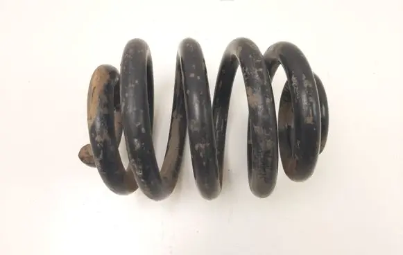 Rear coil spring