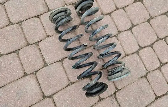 Opel Insignia B Rear coil spring