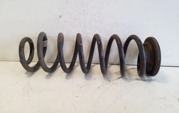 Rear coil spring
