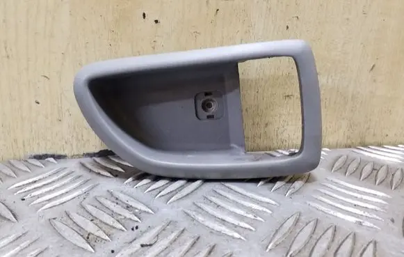 Other front door trim element