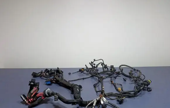 Other wiring loom