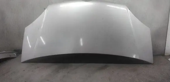 Engine bonnet/hood