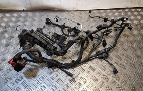 Ford Fiesta Engine installation wiring loom AE815410679AA G2BT12A22SCB