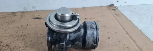 Seat Alhambra (Mk1) EGR valve 038131501J 103008