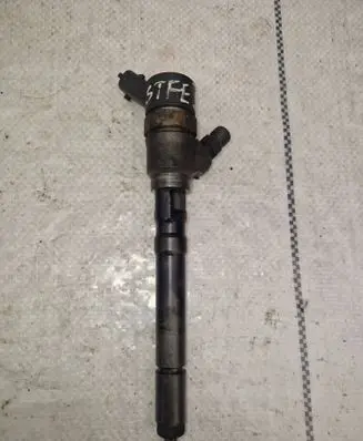 Hyundai Santa Fe Fuel injector 338002700