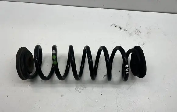 Rear coil spring