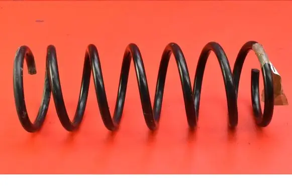 Rear coil spring