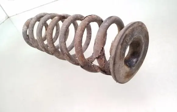Volkswagen PASSAT B6 Rear coil spring