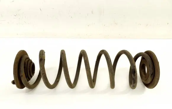 Rear coil spring