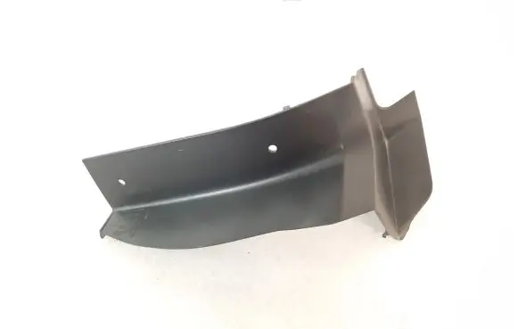 Rear/tail light trim molding