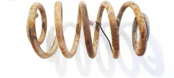 Rear coil spring