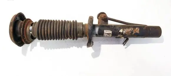 Peugeot 1007 Front shock absorber/damper 9656373680