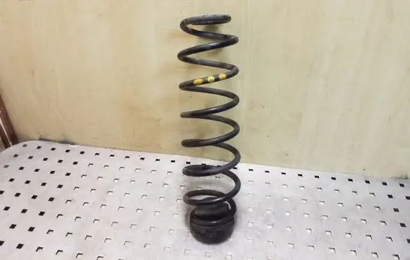 Rear coil spring