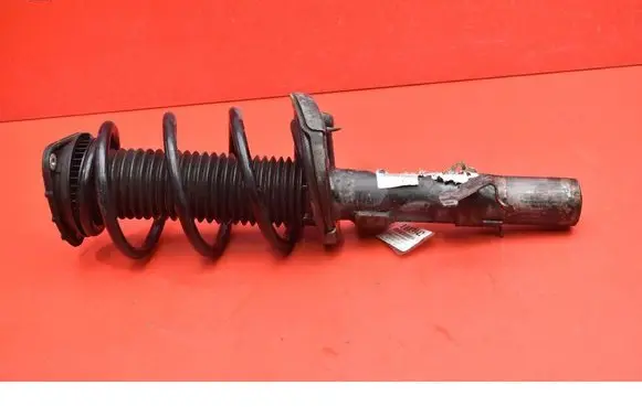 Front shock absorber/damper