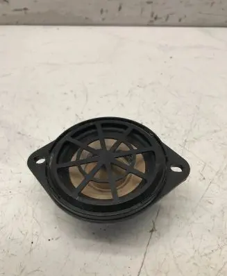 Front door high frequency speaker